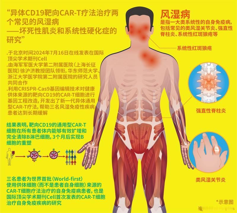 当下，网络上爆火的CkT细胞免疫疗法，即CAR-T疗法，宣称一针就能消除癌细