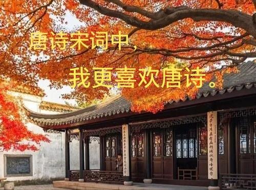 如果把古典文学的长河看作一场盛宴，宋词是席间最精致的那盏茶，适合在晓风残月里慢慢
