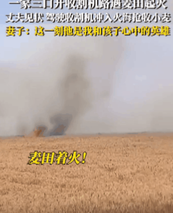 山东曹县，开收割机救麦子的小伙，最好的回报来了，不是被夸奖，不是被当地人
