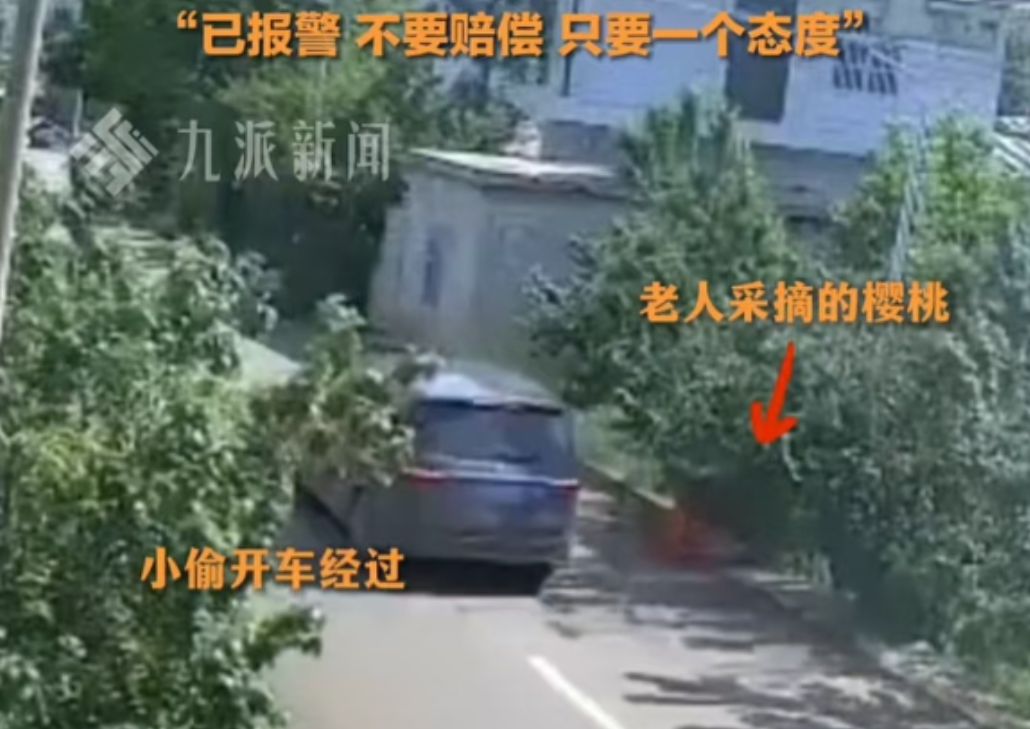 “太缺德了！”近日贵州一老人摘10斤樱桃放路边卖，不料还不到3分钟，就被一陌生男