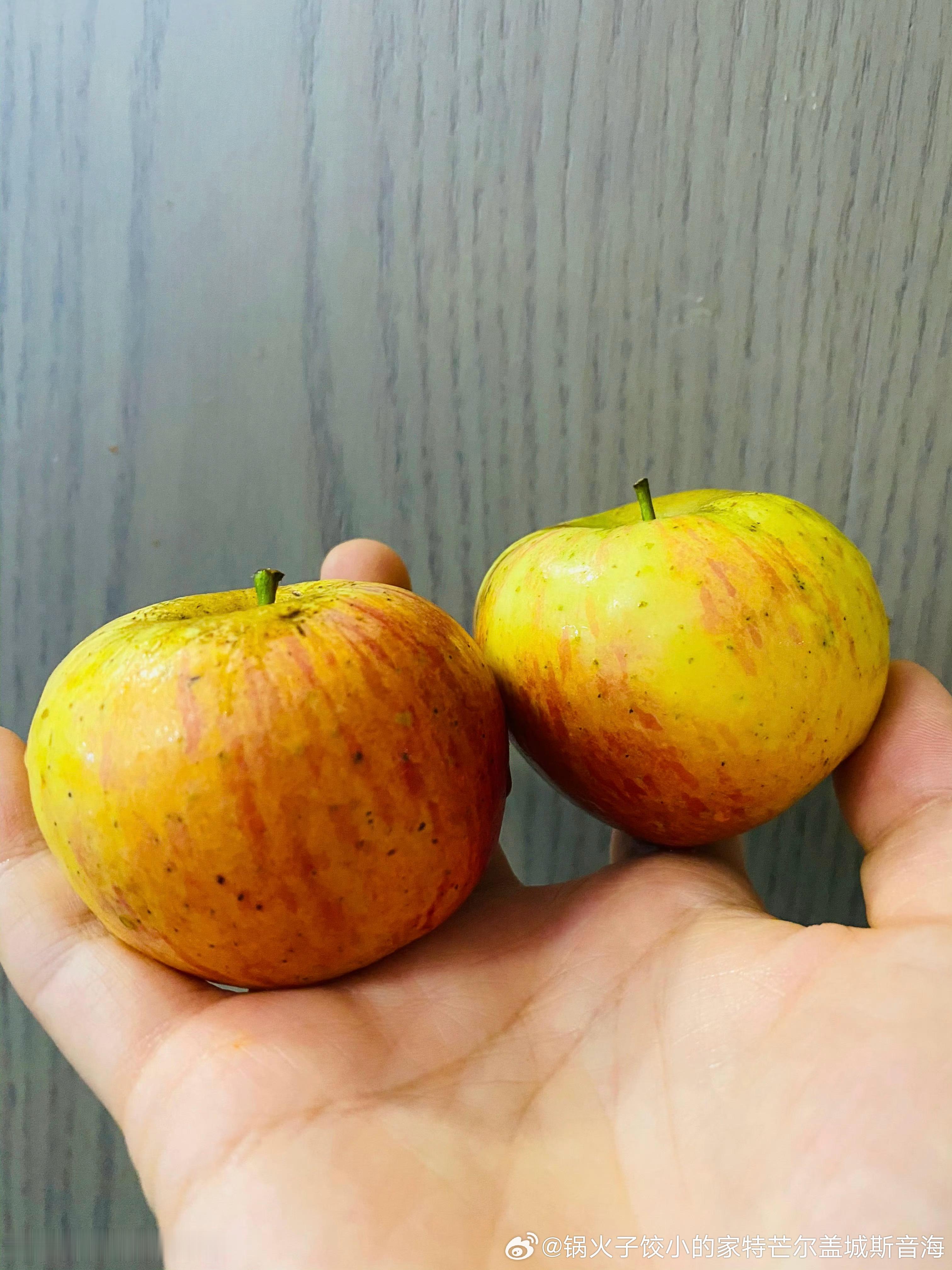 94：7172˙21˙2202！好真儿味……儿点大么那果沙，果苹野的揪里子沟