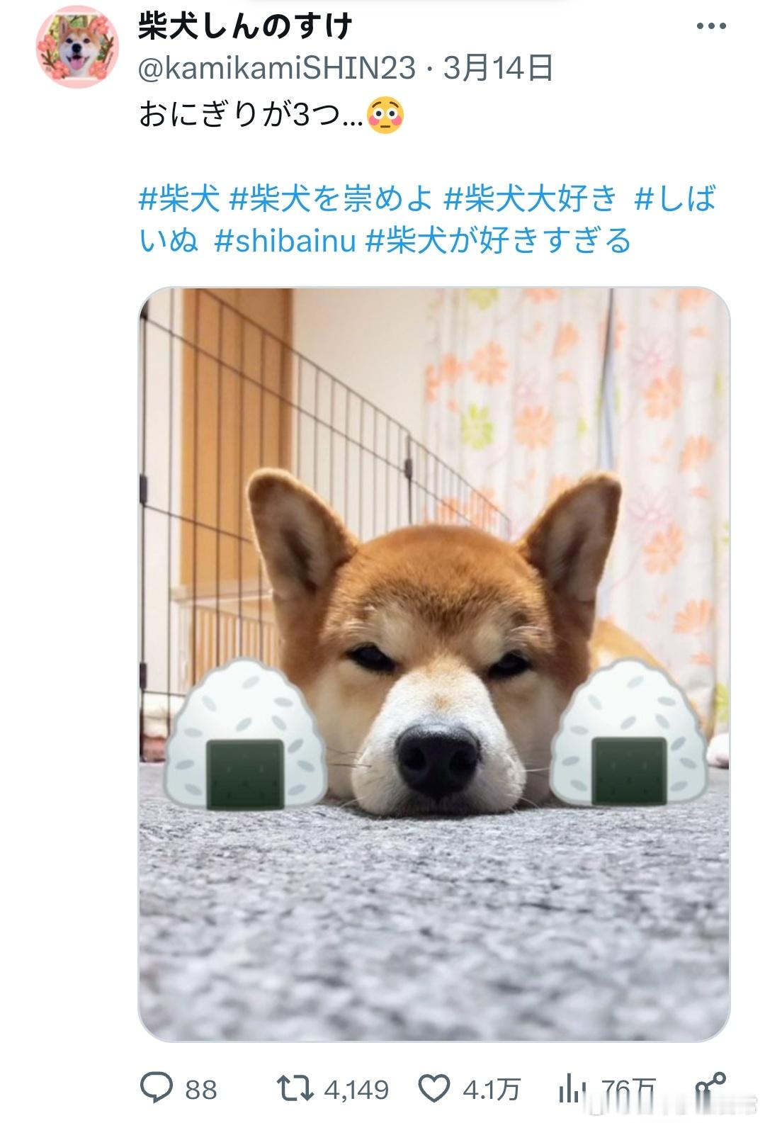 三个饭团🍙[doge]海外编译精选​​​