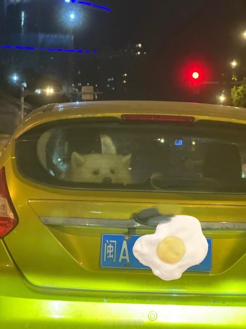 前车疑似开启了哨兵模式[doge]​​​