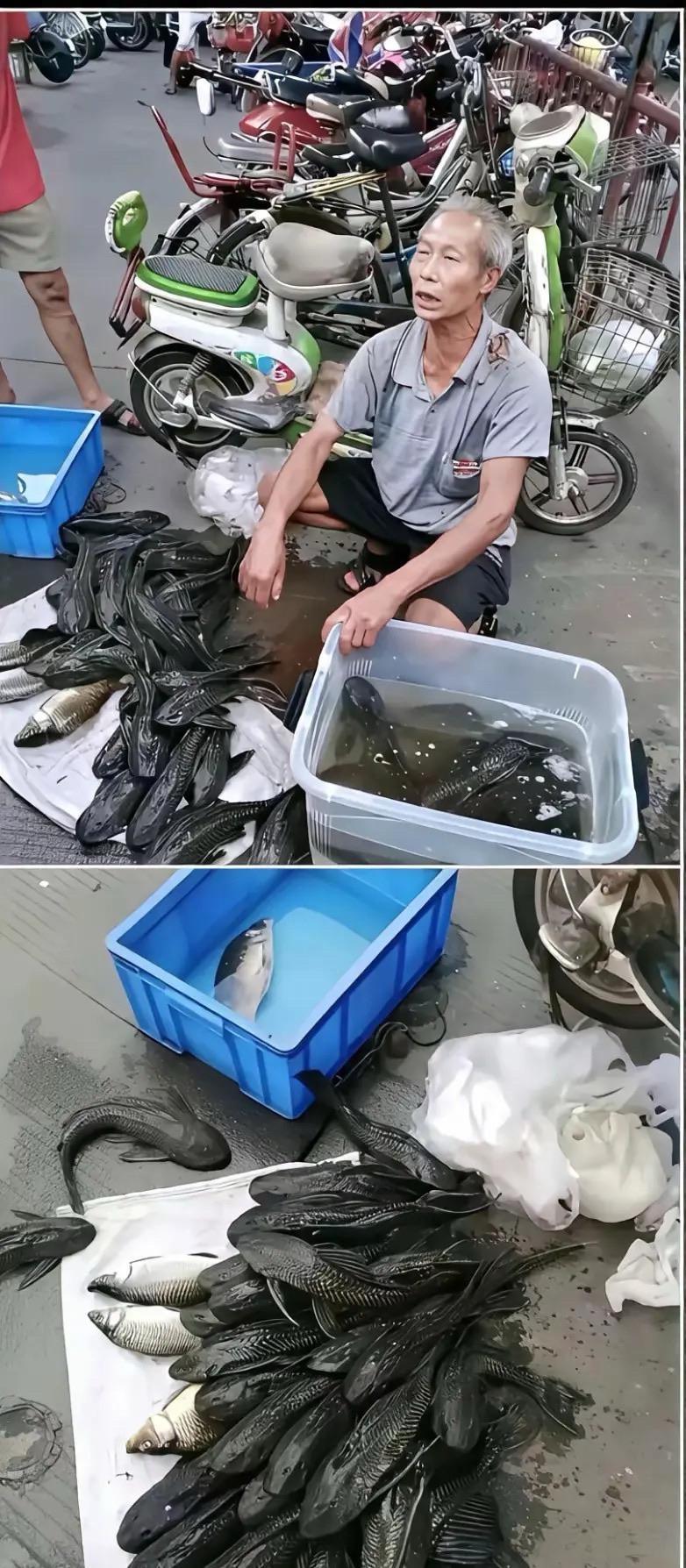 这够呛卖的出去吧