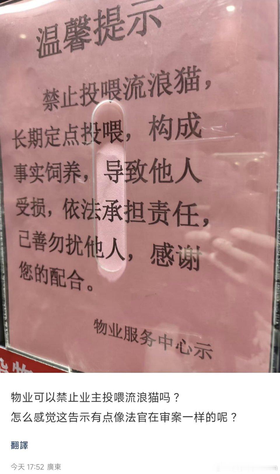 物业禁止业主投喂流浪猫