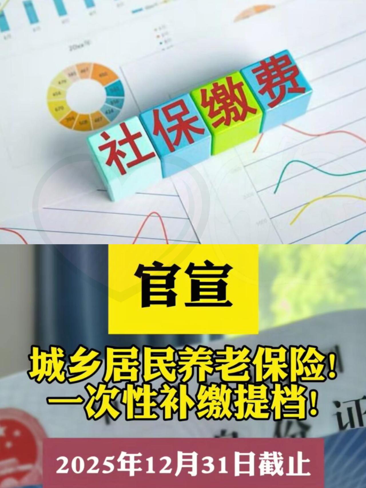活就业缴纳社保，不能跨年补缴。今天是2025年12月11日。各位自己交社保的