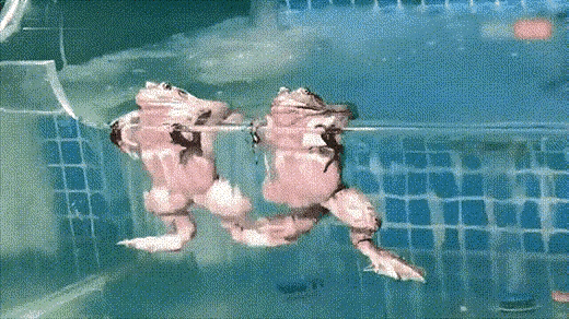 管他怎么样了，能舒服一秒是一秒。