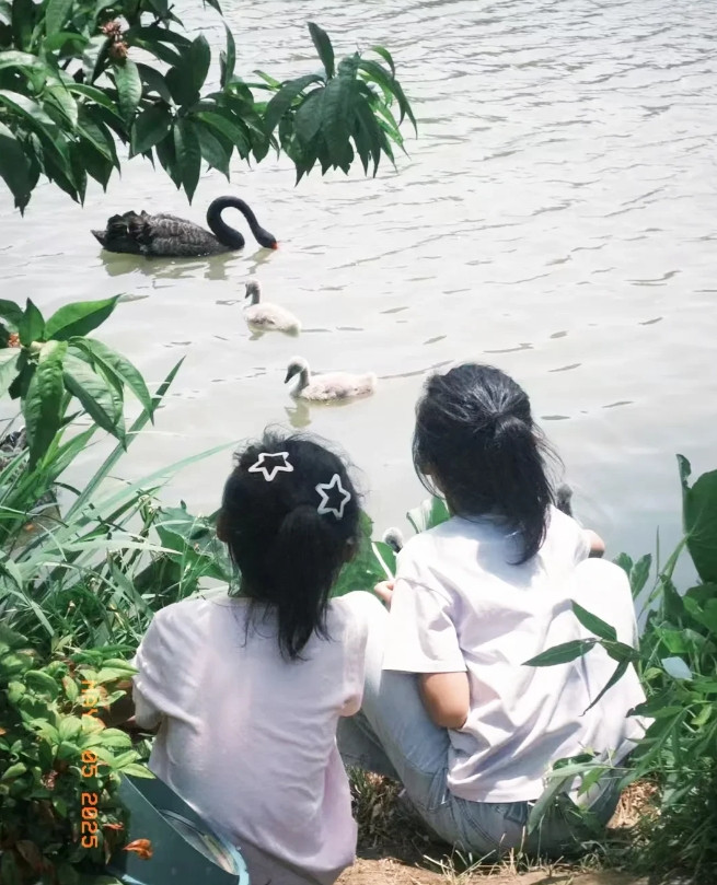 一大早就被楼上邻居姐姐一个举动温暖到了，她敲门到我家对我说，让你家妞妞带孩子先回