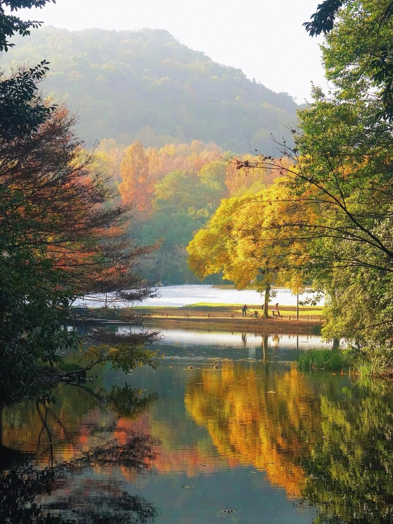 老师最开心的事情就是学生有了进步，刚刚29中的一个高三的学生家长给我发来消息