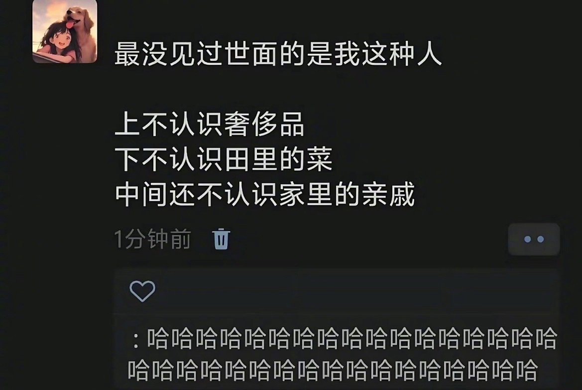 最没见过世面的是我这种人