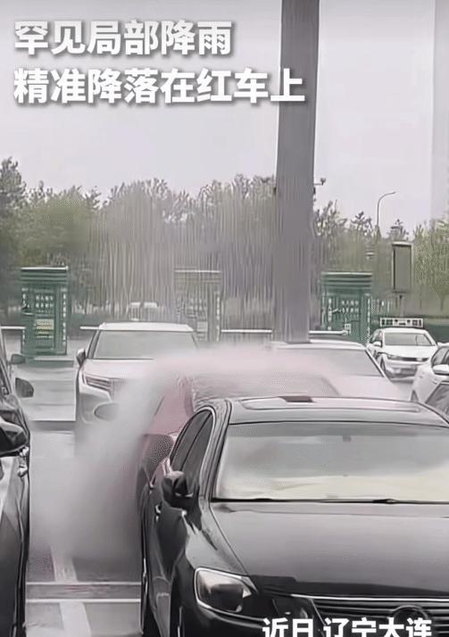 真是活久见！近日，辽宁大连下起局部阵雨，万万没想到，这雨竟跟装了导航一样，精准砸