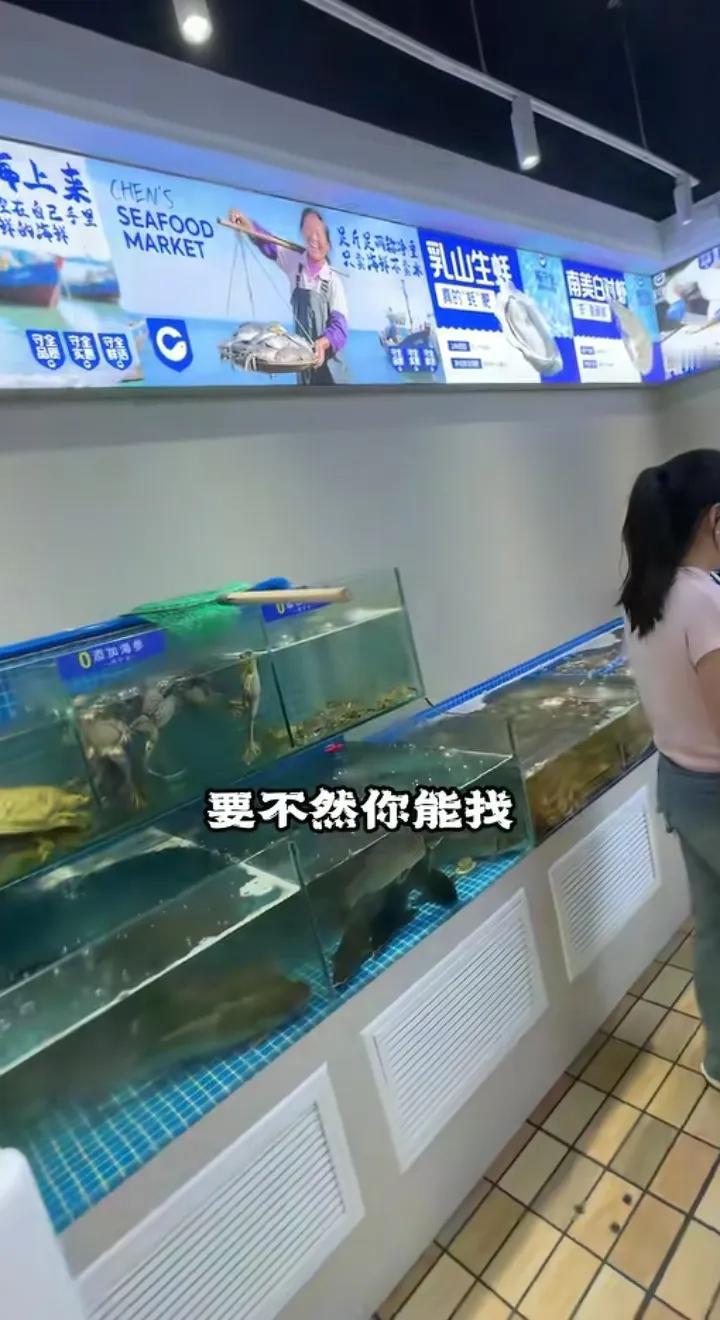 信良记打钱吧曾扬言“只要发现不用冷冻原料和添加剂的菜馆，就给20万”吗？现在有