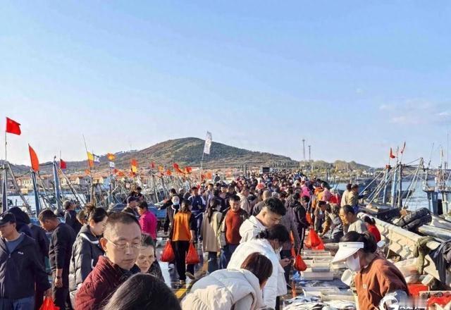 青岛田横码头惊现黄金裂壳蟹！渔民直播拆网箱震撼全场：冷链直送72小时鲜到裂，今年