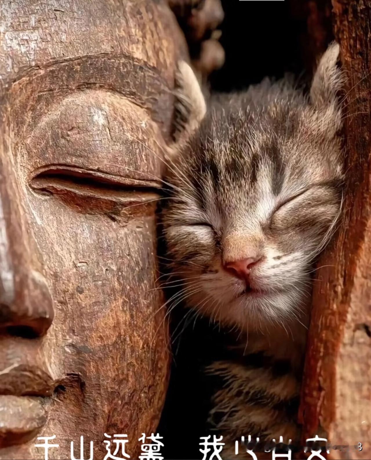 没想到助睡眠的褪黑素也有依赖性，停吃一两天就出现凌晨一、两点钟醒来后难以入睡的情