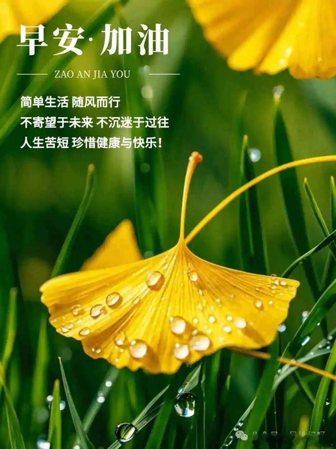 生肖鸡12月属鸡人堪称危机四伏，失财风险极高。意外损耗频发，生活中出现不少突发开