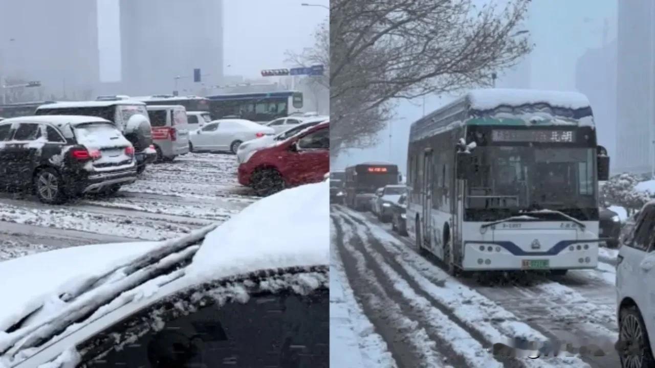 天啦！老家山东竟然下雪了。昨天，老妈来电话说，家里下大雪了，那风刮的呜呜