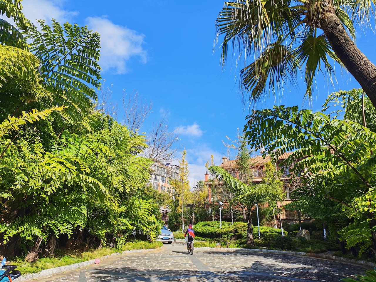 【再不买荣耀手机了】不是荣耀手不好，我现在用的就是荣耀手机。但我肯定的说，用完这