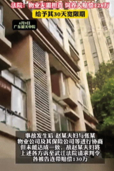 天降横祸！广东，一对夫妻带孩子在小区玩，突然高空坠下一只乌龟，刚好砸在孩子的头部