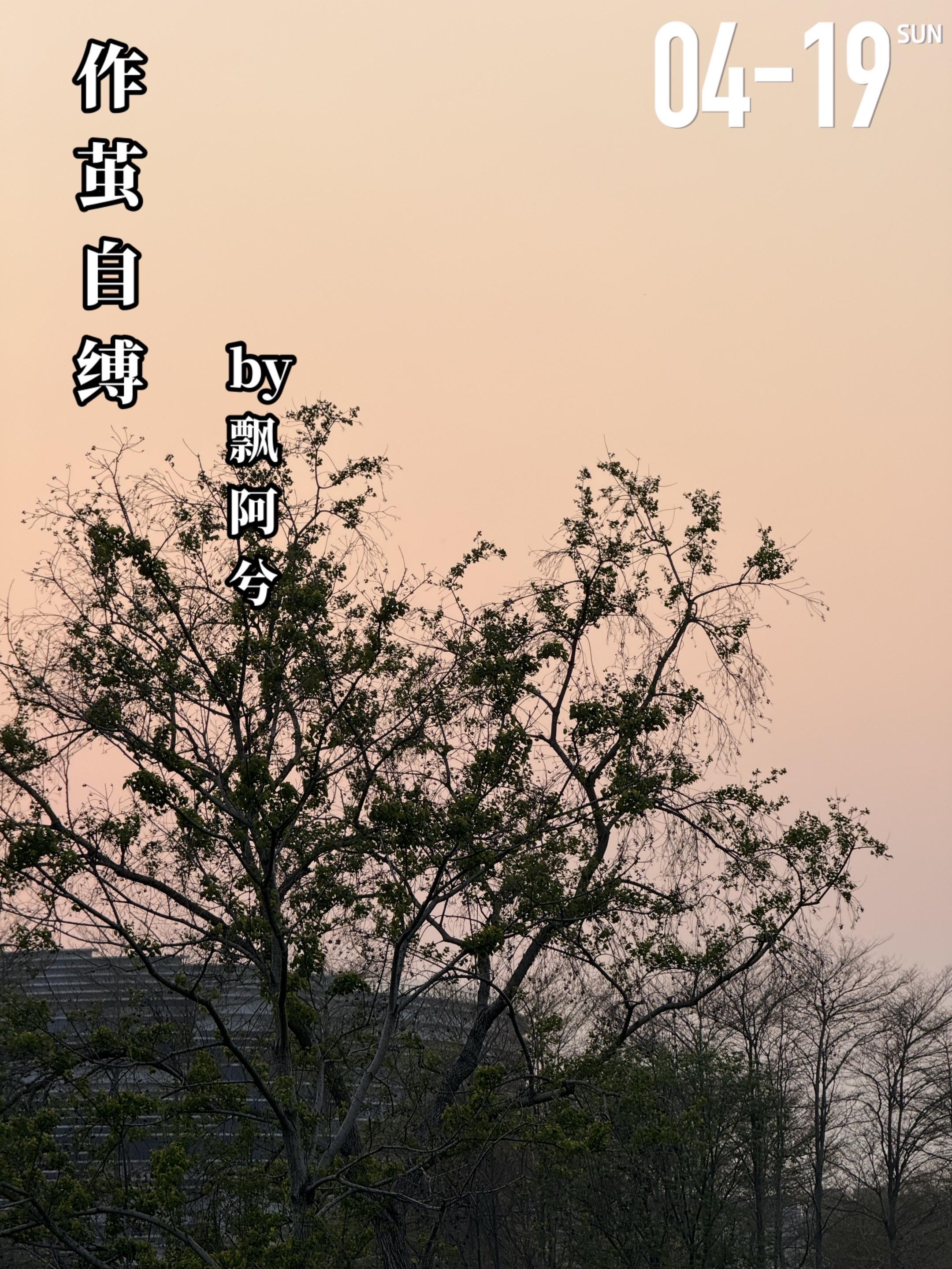 《作茧自缚》by 飘阿兮。一场枪/S案带走了筱和和（女主）的父亲，也将...