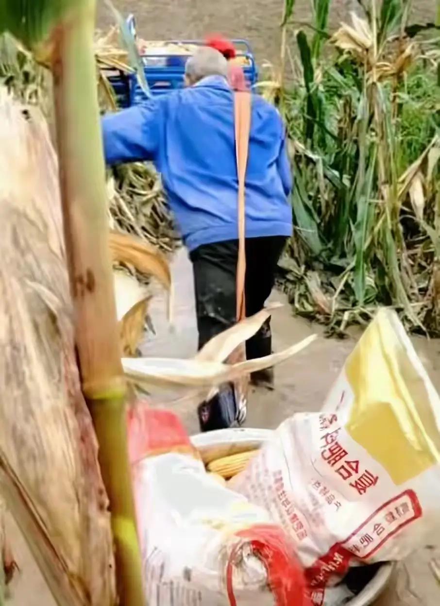 告诉晋，冀，豫，鲁，皖，陕民众，二十多天连阴雨，河南雨过天晴，终见太阳露脸，见到