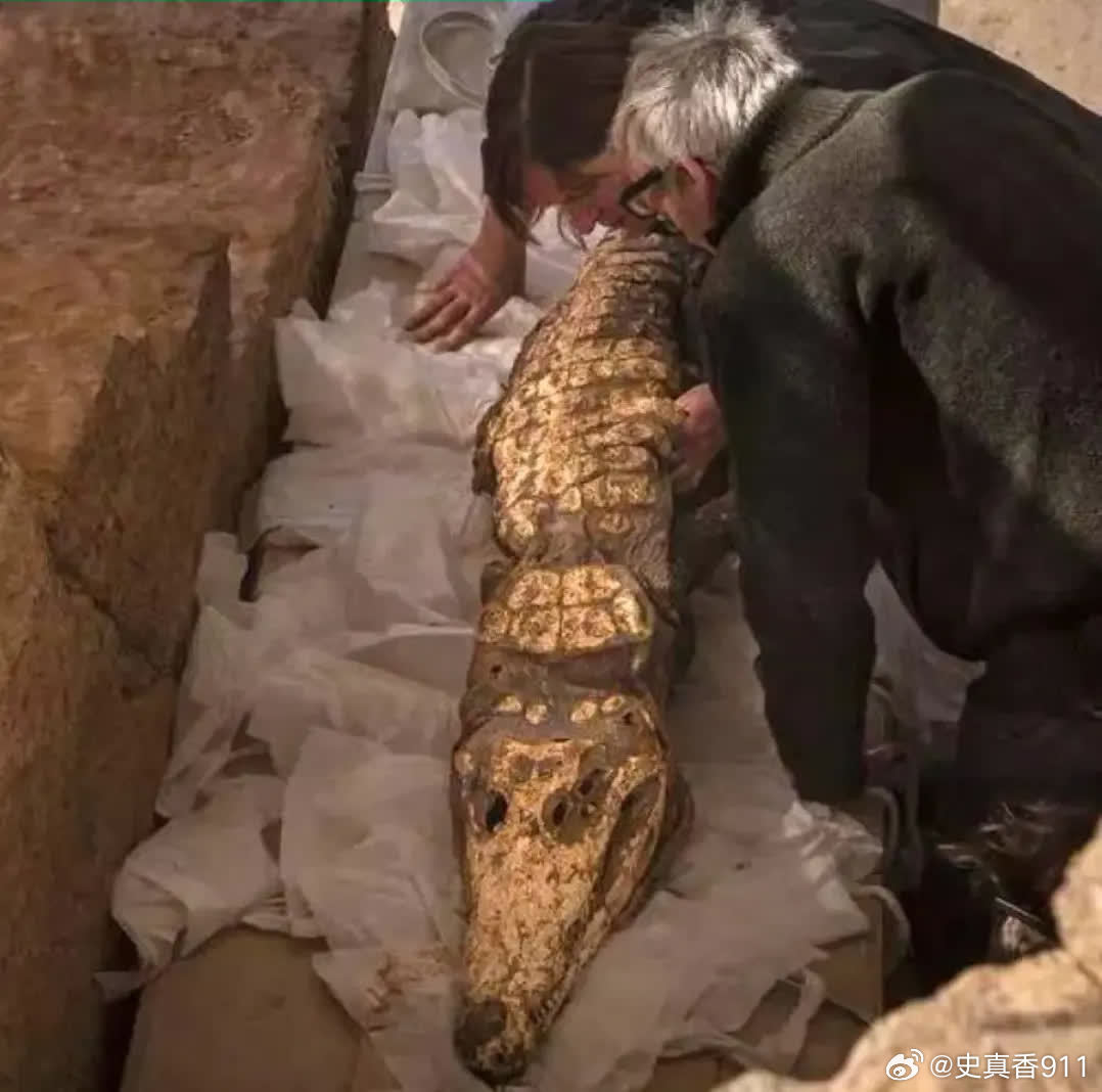 考古学家在一个未受干扰的埃及古墓中发现了10具保存完好的鳄鱼木乃伊，其历史可能超