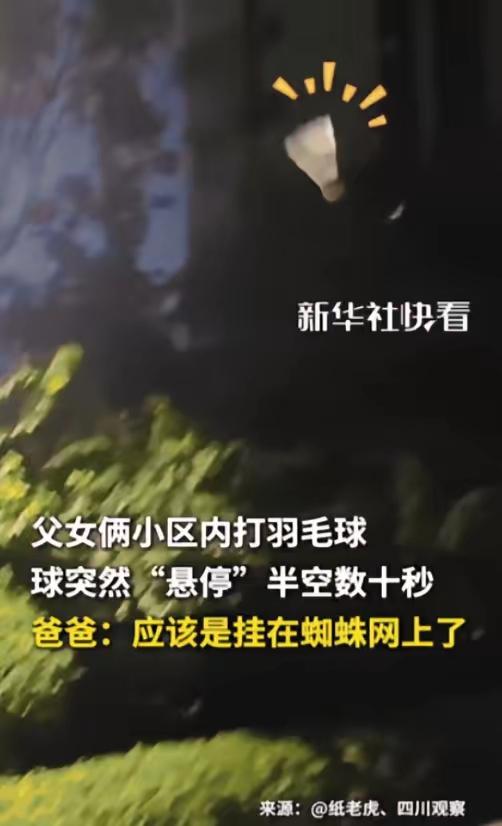 吉林长春一对父女，周末下午在小区篮球场旁的空地上打羽毛球。天气晴朗，风也不大，正