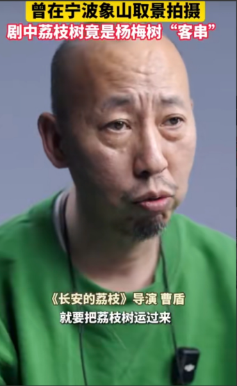 《长安的荔枝》又出问题了！导演曹盾亲自承认，如果要拍荔枝树，就需要将荔枝树运到