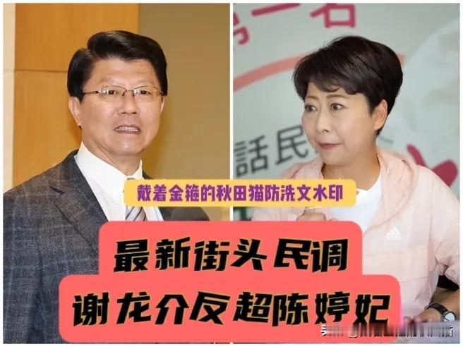谢龙介竟领先陈婷妃！台南最新街头民调结果显示，蓝营实现逆袭28:22反超6票，“