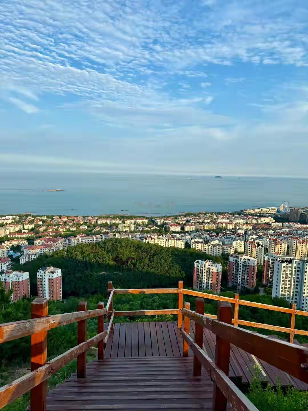 青岛浮山森林公园爆火出圈！30分钟免费登顶俯瞰全城红瓦绿树碧海蓝天，本地人私藏的