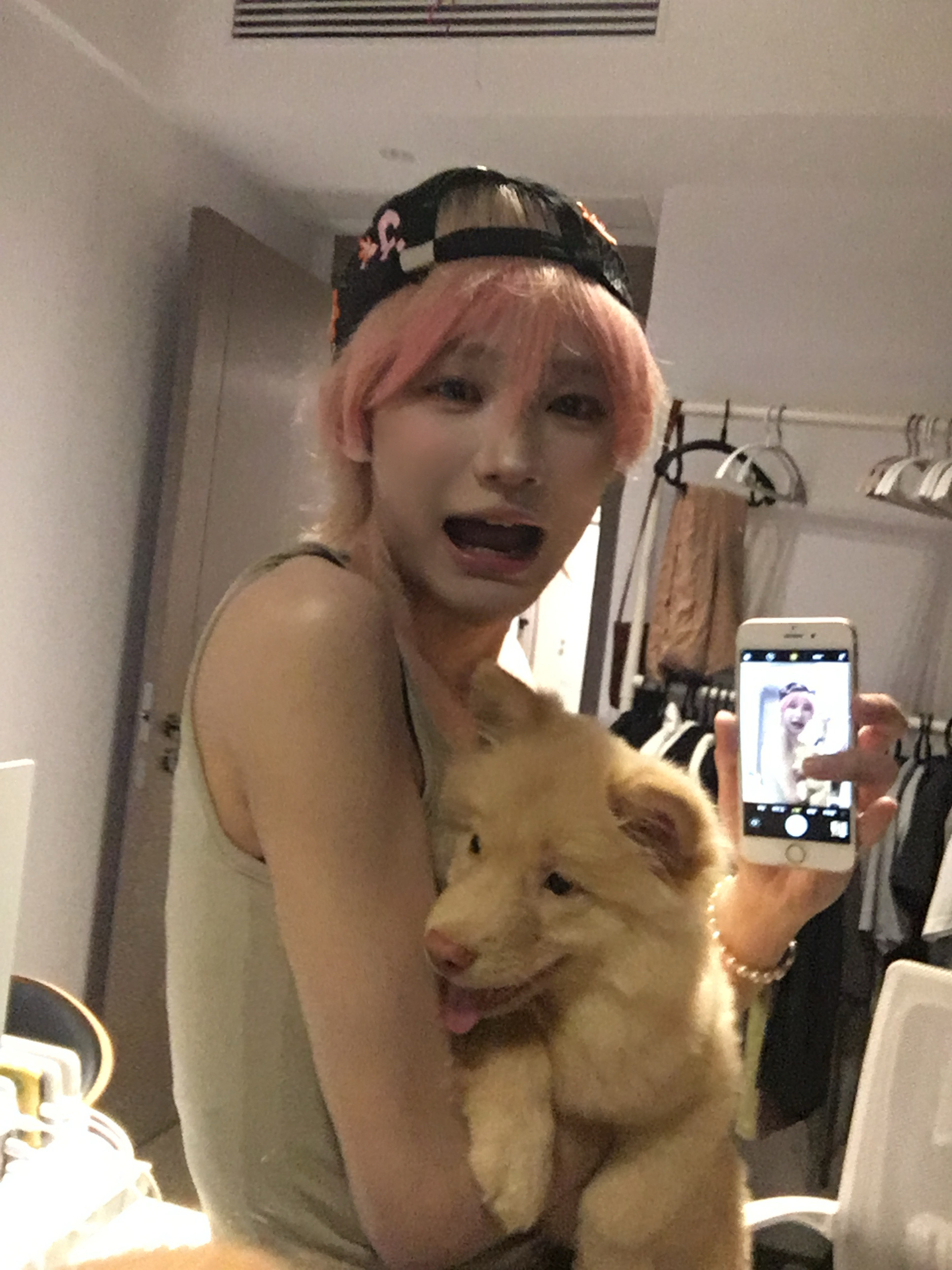 Gita对不起我先出轨一下别人家的小狗