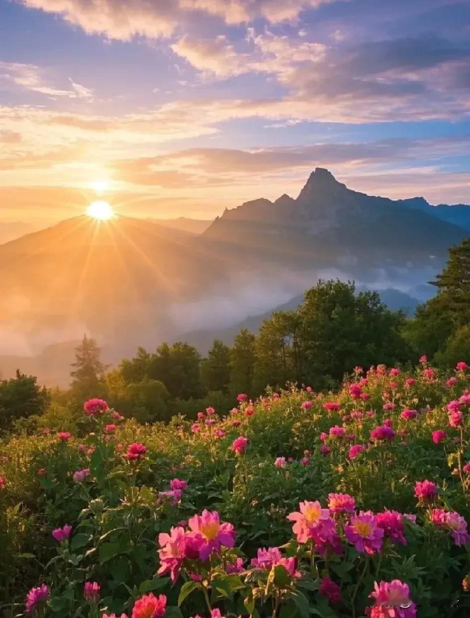 一位艾滋病防治专家说:艾滋病可不只是通过性传播了，现如今，我国的艾滋病感染者已