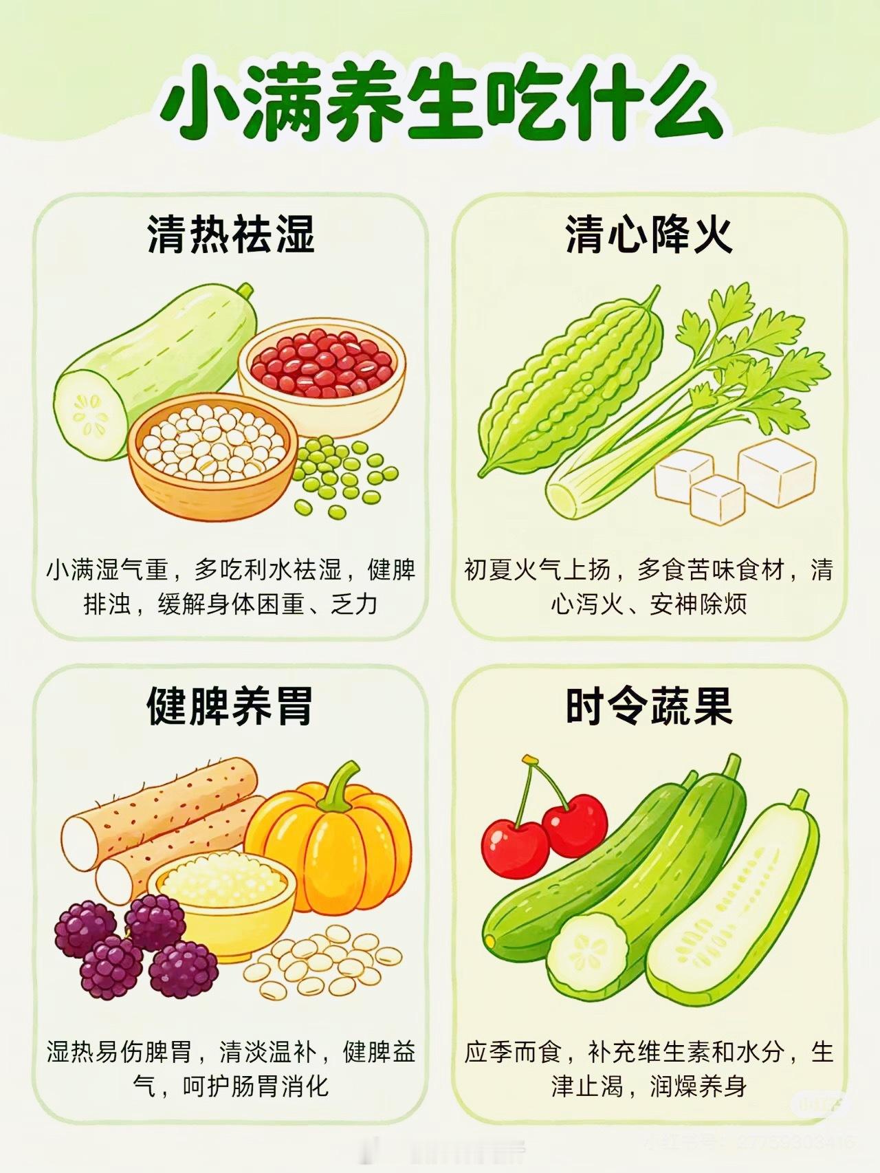 小满饮食原则小满养生必吃4类食物🍃一、清热祛湿类冬瓜、薏米、赤小豆、绿豆、茯苓