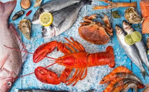 “腰斩”已不足以形容日本水产的惨状，那分明是“心电图归零”！25年11月，中国刚