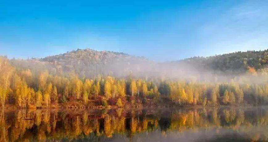 2025年清明档，赵丽颖主演的《向阳·花》票房最终达到2.3亿，豆瓣评分徘徊在6