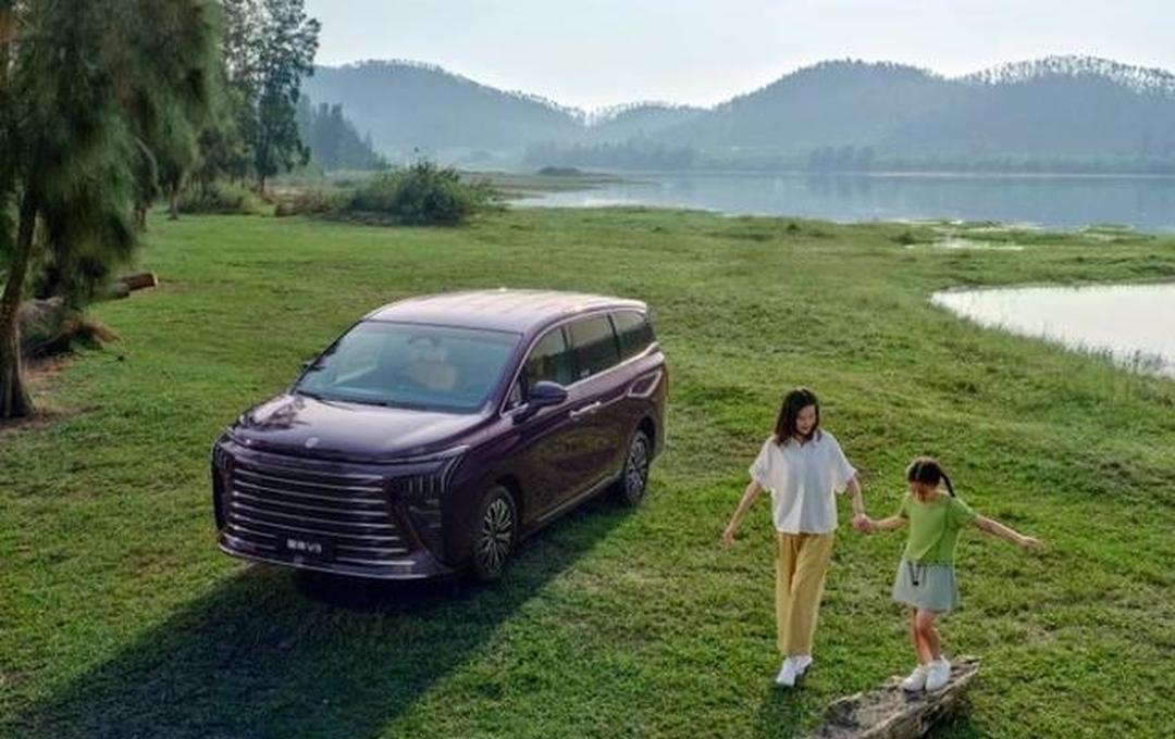 我查了下中国汽车流通协会的报告，今年二十万左右的新能源MPV里，星海V9这半年的