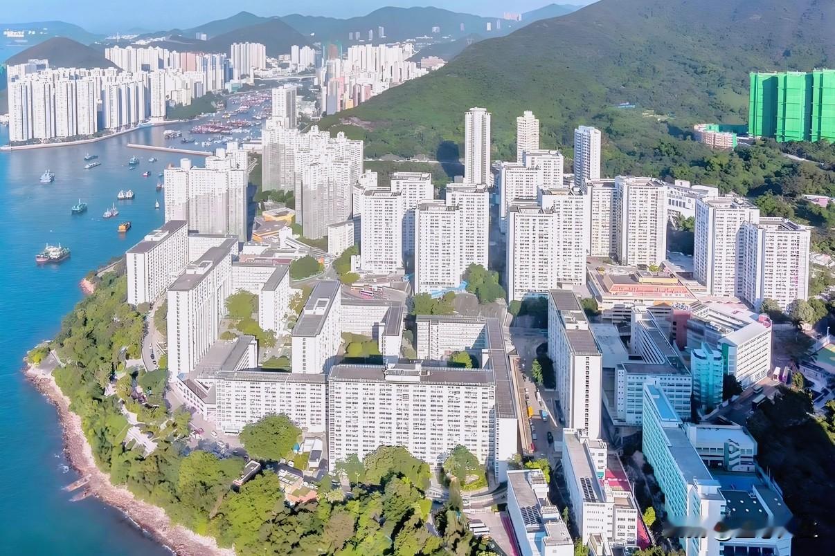 中国楼市触底速度，或将快于日本！真相到底是什么？2026博鳌房地产论坛，一句