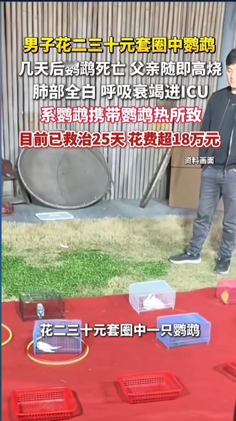 “悲剧还是发生了！”今年春节，甘肃庆阳，一男子在外地景区套了只鹦鹉，就带回老家交