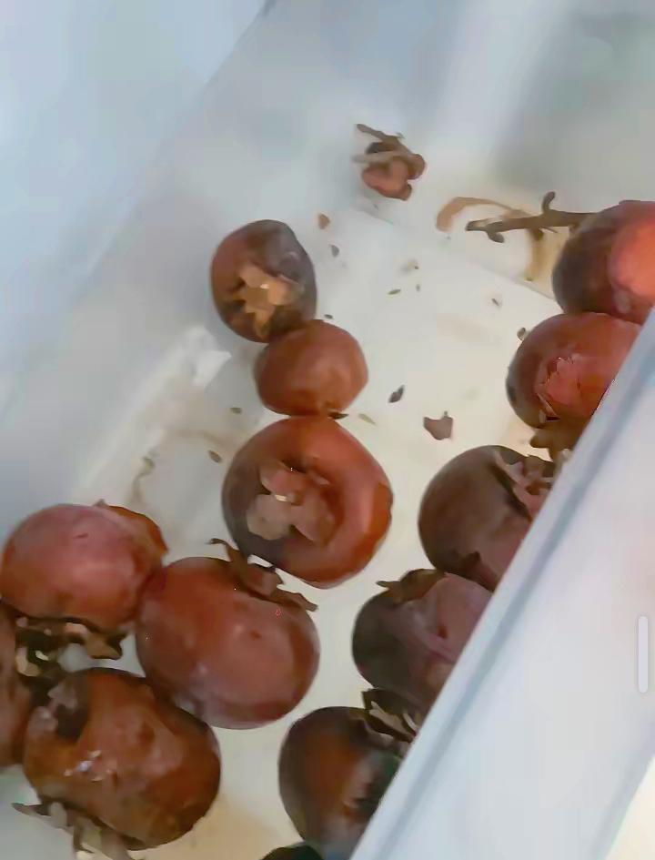 昨晚上10点，老公说他腰疼，疼的满脸虚汗。紧接着，说恶心，没走到卫生间就吐了一