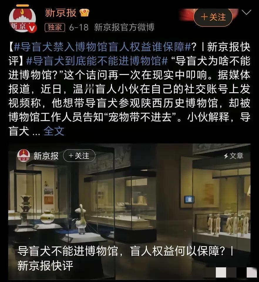 新京报又出来搅浑水了，把导盲犬进博物馆上升到人权。最近，盲人带导盲犬参观陕