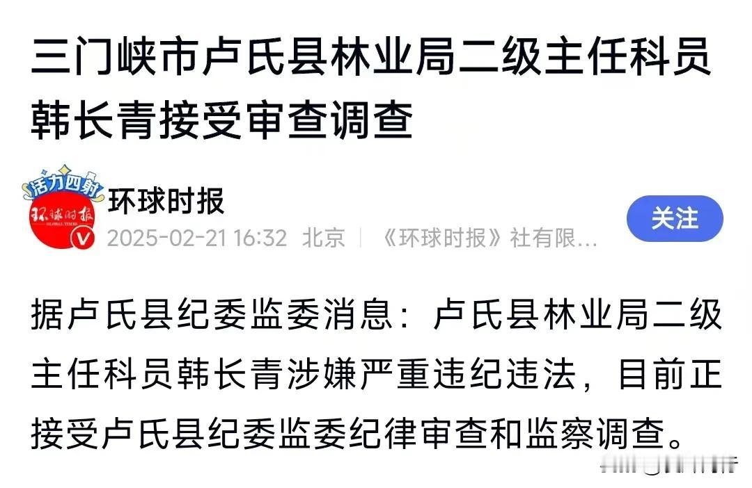 家人们！今天继续给大家分享拍蝇打虎小故事！今天故事的主角来自于河南省三门峡市卢