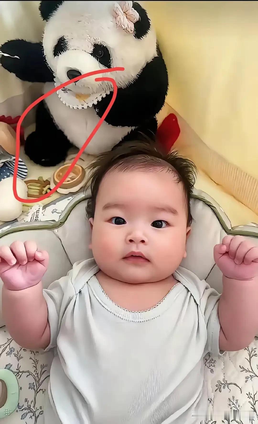 马筱梅端午分享了汪宝儿的日常照片，三个多月的小家伙软萌可爱，画面看着温馨十足，但