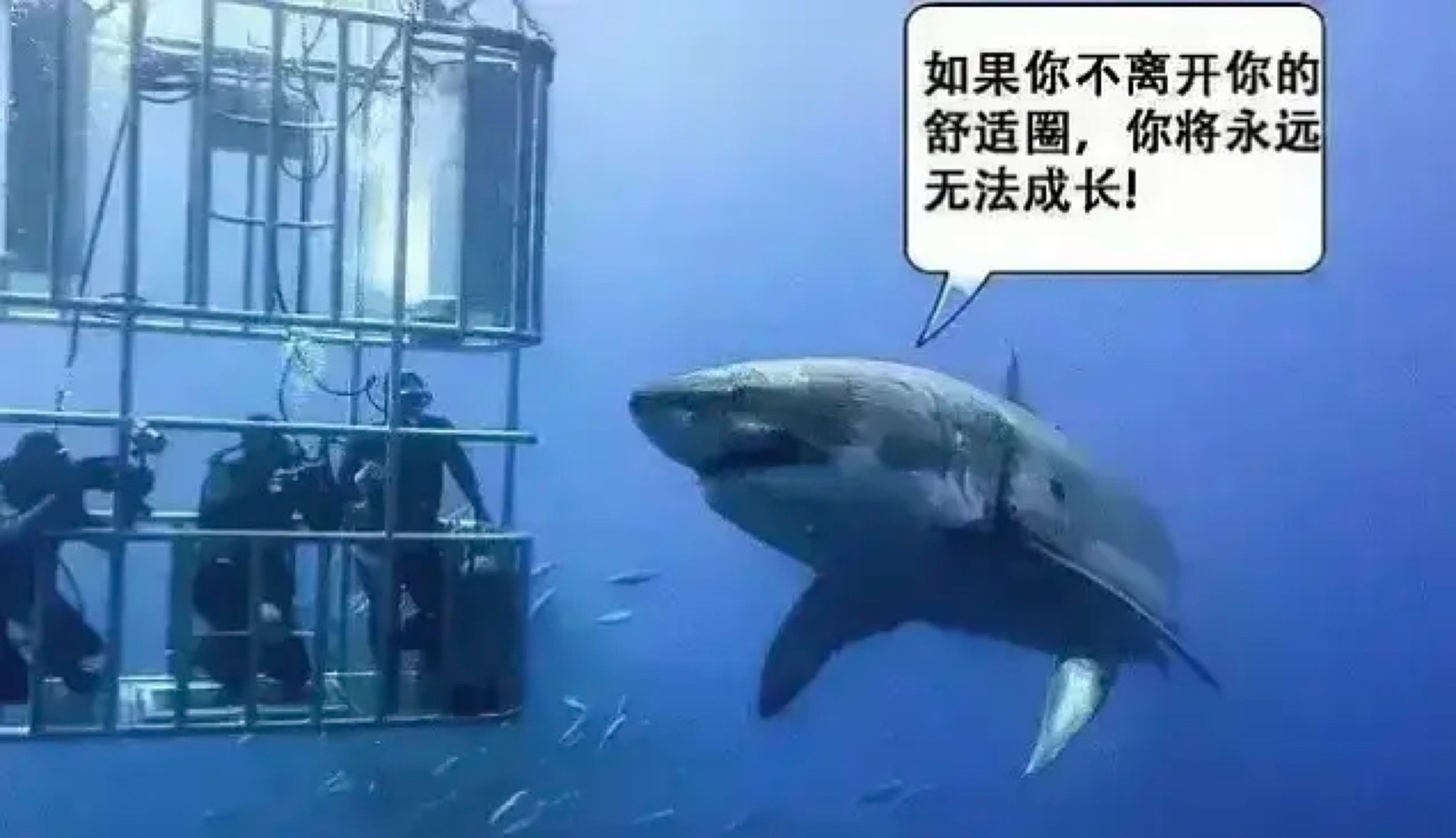 让我走出舒适圈的人belike