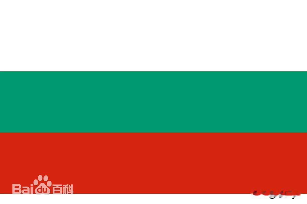 保加利亚暂停向其他欧盟成员国供应石油产品。央视报道，10月31日，保加利亚议会以