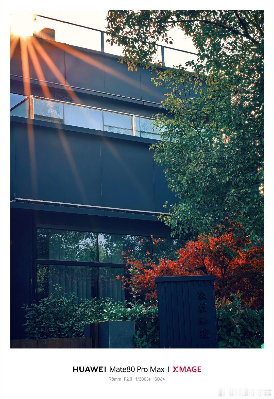 这天气！这风景！不出门拍照都亏了！今天来公园散步，又一次感受到了华为Mate80