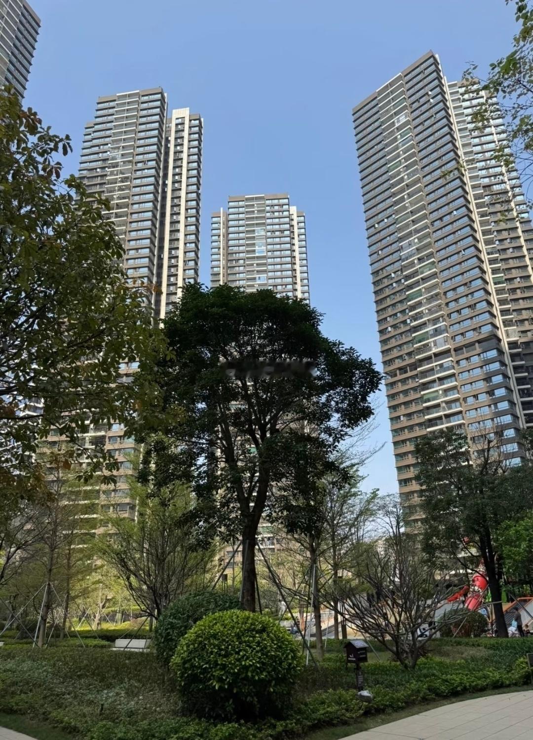 深圳宝安沙井的刚需买家，对价格极其敏感，稍微超出预算范围就保持观望。从外地过来的