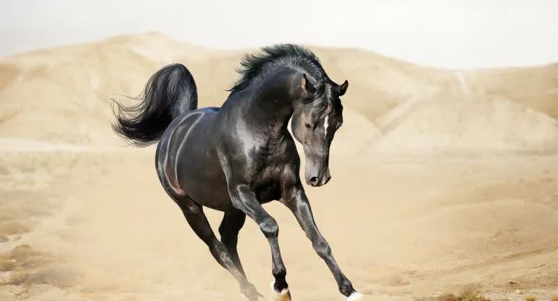 午马🐎2025年8月18号以后马马：跟你交个实底马马：悄悄跟你透个风