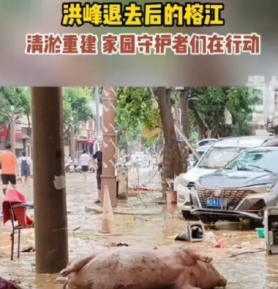 贵州榕江发大水，悲催二师兄去了极乐世界。这次贵州发大水，来势汹汹，大街上水深1-