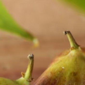0000无花果的种植方法一、扦插育苗：无花果可利用扦插来培育苗木，剪取1-2年生
