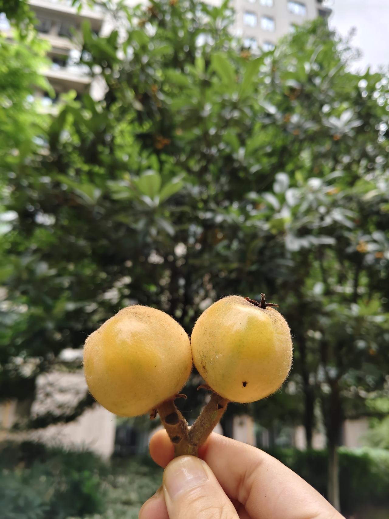 周末愉快，复盘了一下，发现我超看好白酒行业！白酒市场解读白酒困局白酒投资分析