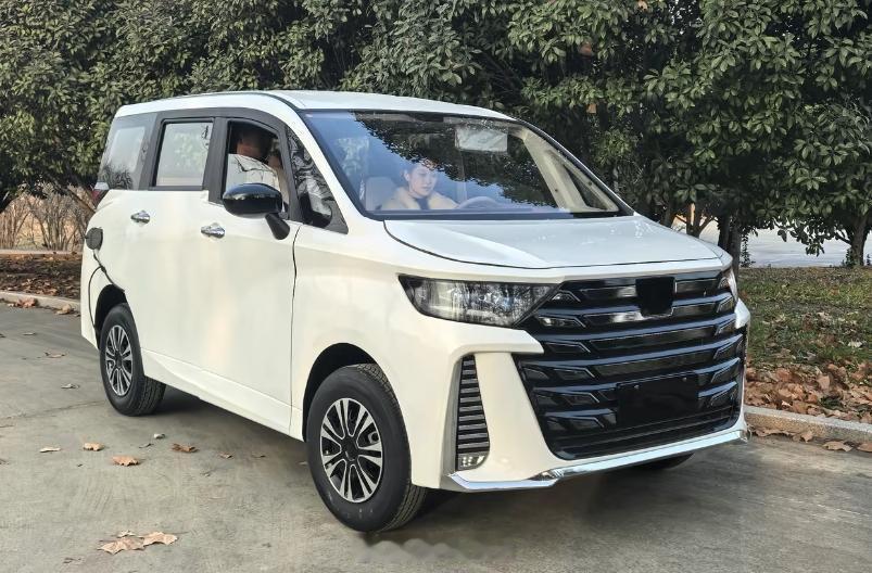 老年代步车又卷出新高度了，丰田直呼受不了（群转图）丰田埃尔法MPV